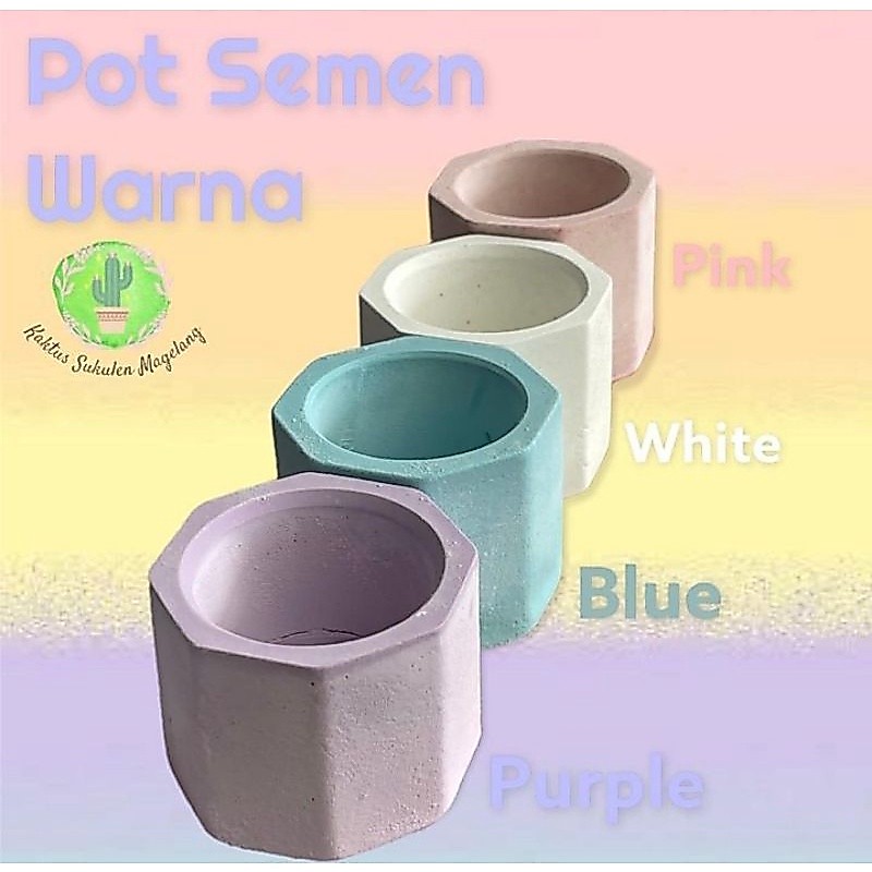 Pot Kaktus Semen Mini