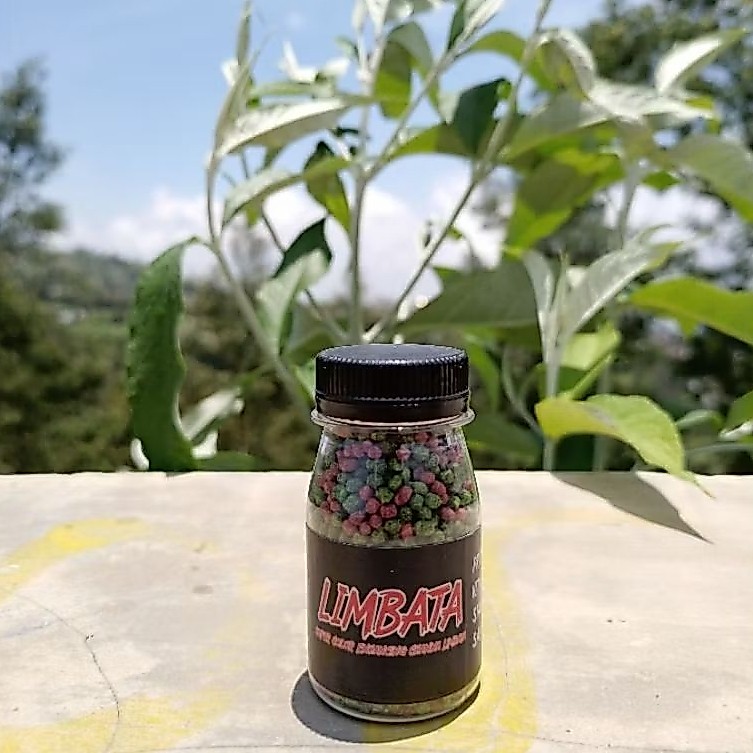 Pelet Limbata Super Color RKFish Aquatic Pakan Channa Limbata
