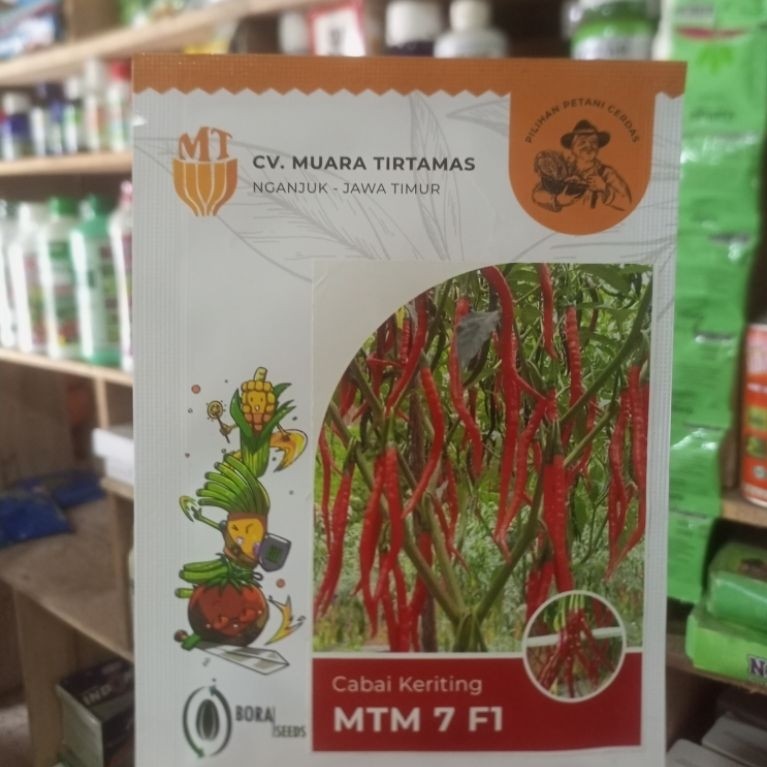 Benih Cabe MTM 7 F1 10 gram ( cabai keriting )