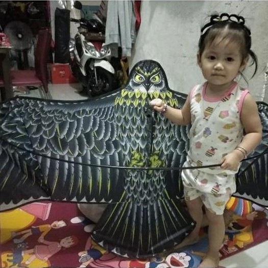 layangan elang jumbo