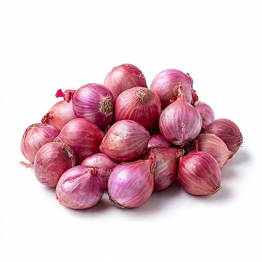 bawang merah,brambang