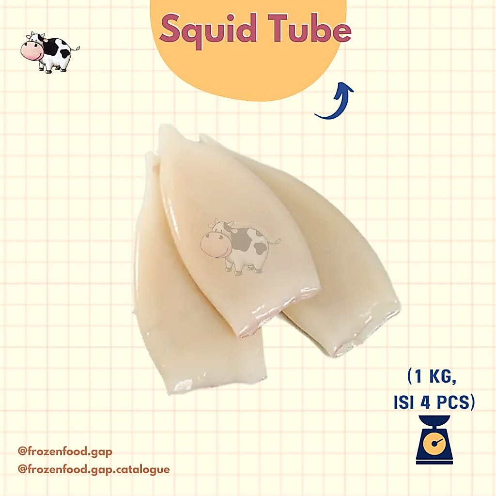 Squid Tube | Frozen Meat | Frozen Fish | Daging Beku | Ikan Beku
