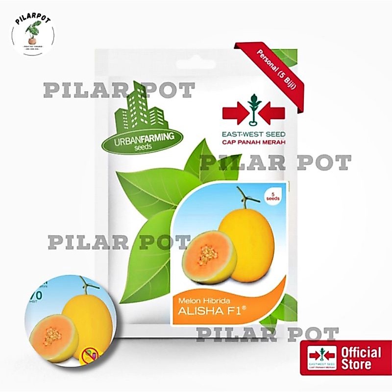 benih bibit melon hibrida alisha f1 cap panah merah - MELON ALISHA F1