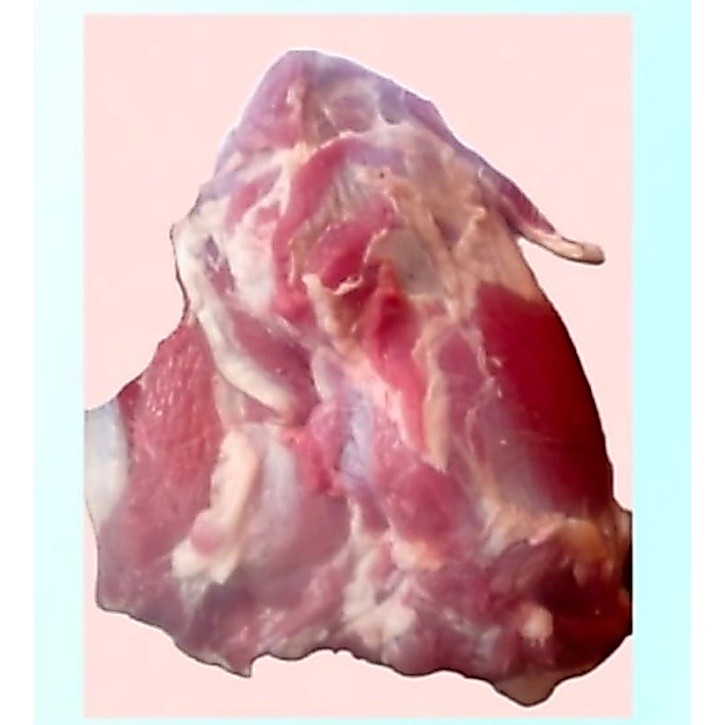 daging kambing paha belakang