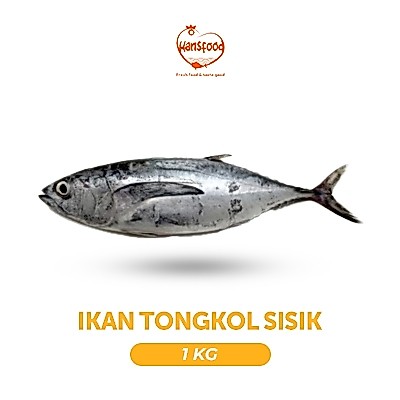 Ikan Tongkol Sisik