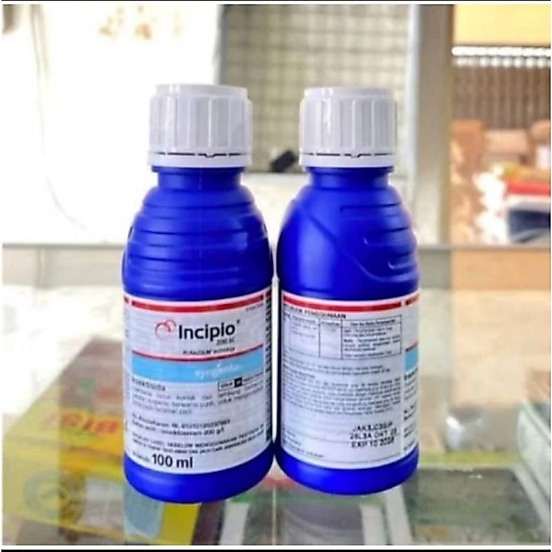 Incipio 100 ml