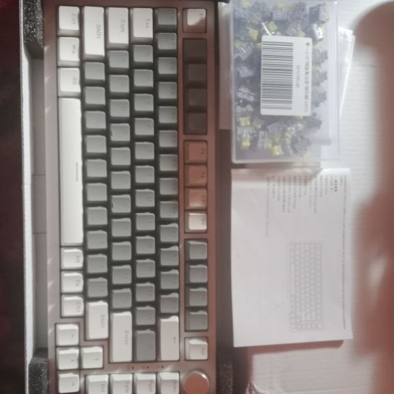 Keyboard ajazz ak820 dual tone+switch grape