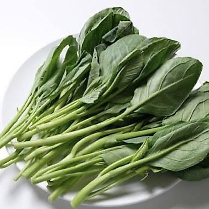 Kailan Segar - Kualitas terjamin.