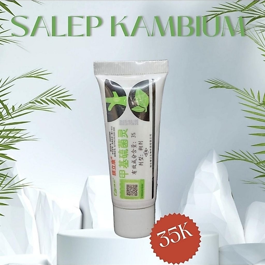 PROMO SALEP KAMBIUM TANAMAN BONSAI, ASLI IMPORT