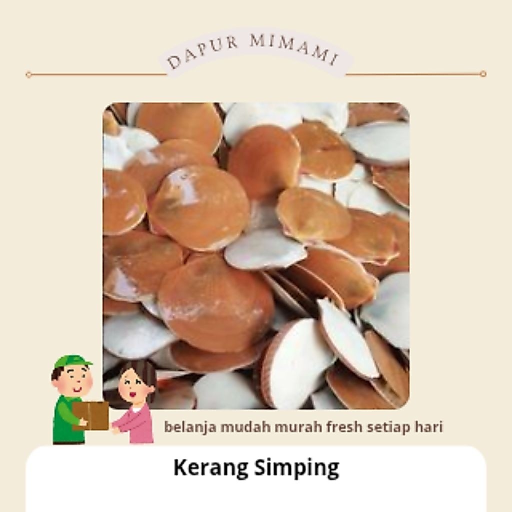 kerang simping segar fresh tanpa pengawet
