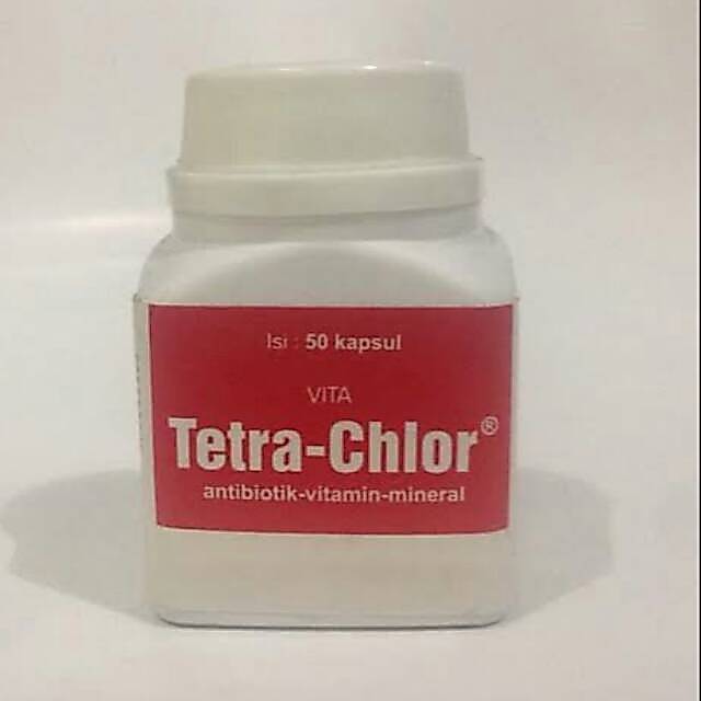 Obat ayam Tetra Chlor kapsul