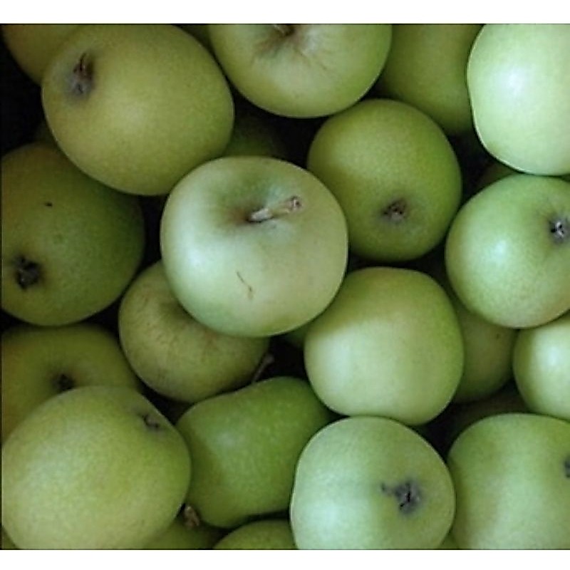 Apel Hijau Import Fresh Segar