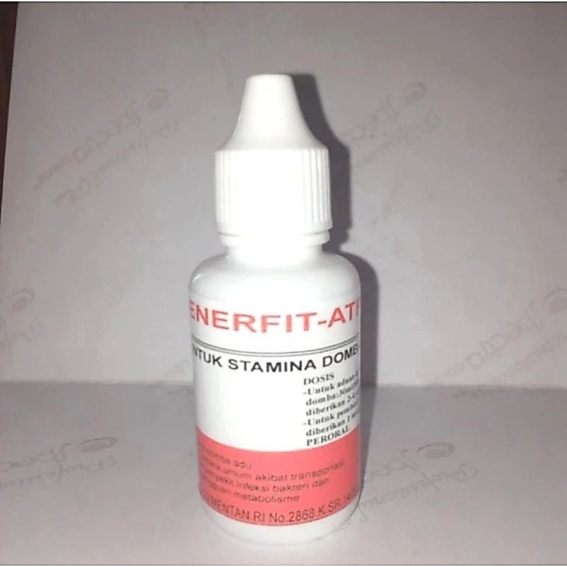 Enerfit - Atp Meyer, obat stamina domba adu