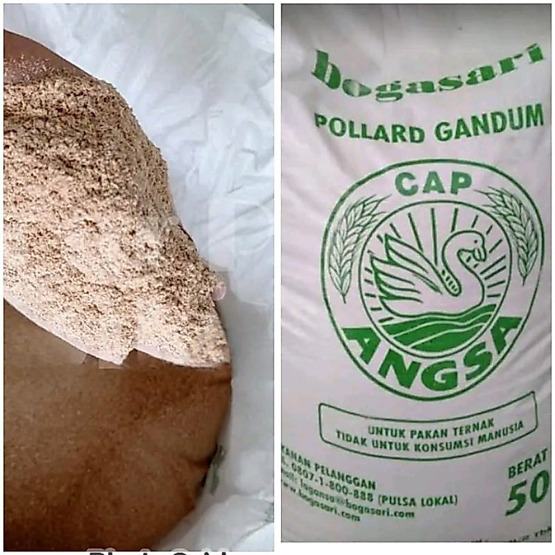 Pollard gandum cap angsa bogasari pakan hewan ternak 1kg