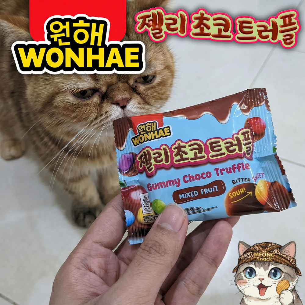 WONHAE Coklat Gummy Choco Truffle 35gr