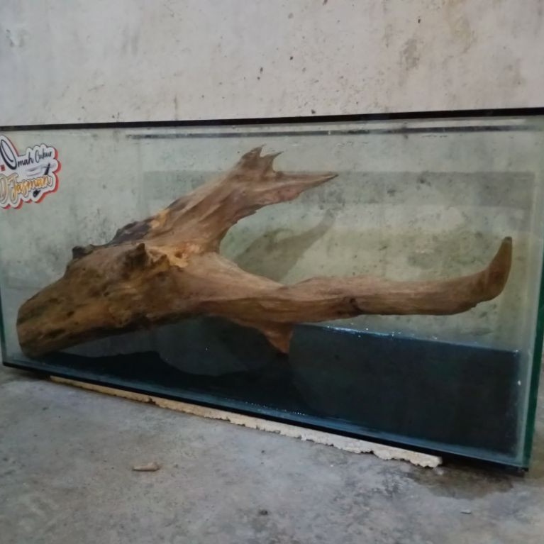 Kayu fosil aquarium
