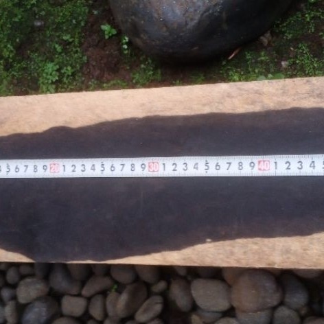 Kayu Arang Kayu Hitam EBONY Asli