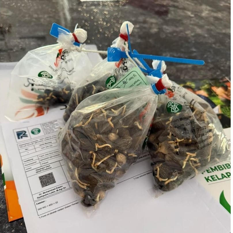 Sertifikat Ppks Yangambi