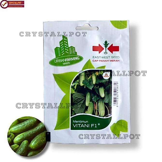Parkz- Benih Bibit Timun Lalap Vitani F1 Cap Panah Merah - Timun Vitani F1