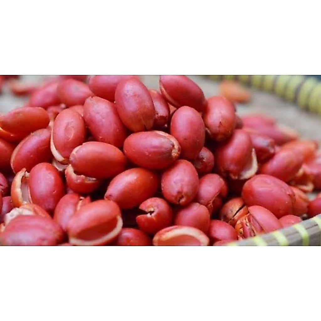 Sayuran kulit buah melinjo merah