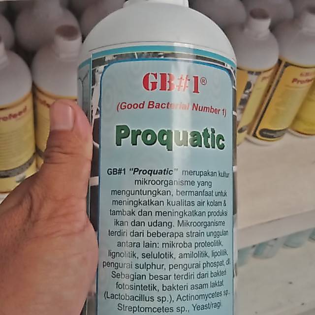 Probiotik gb proquatic