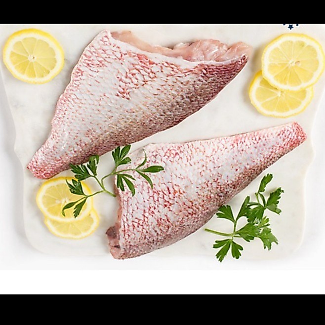 IKAN KAKAP MERAH FILLET - KAKAP MERAH PREMIUM PER 1 KG