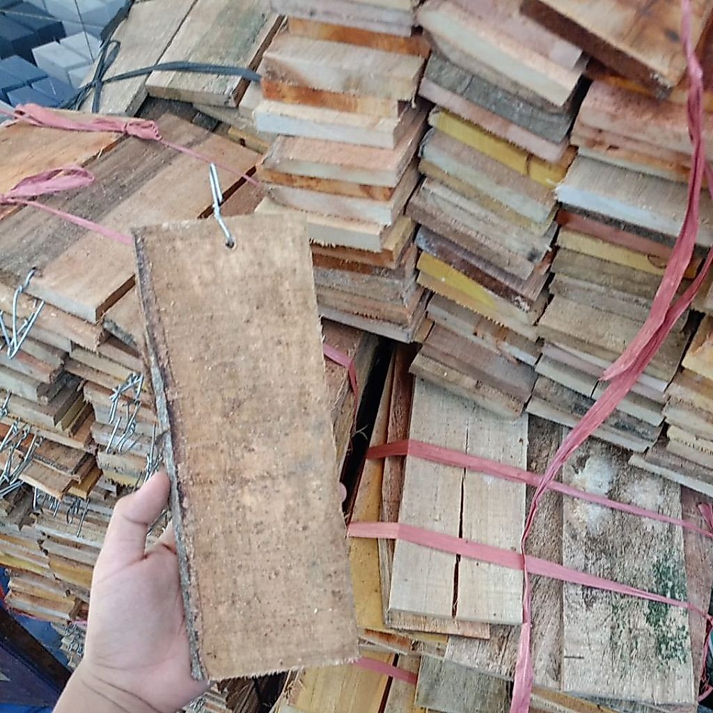 media tempel anggrek papan pinus + gantungan