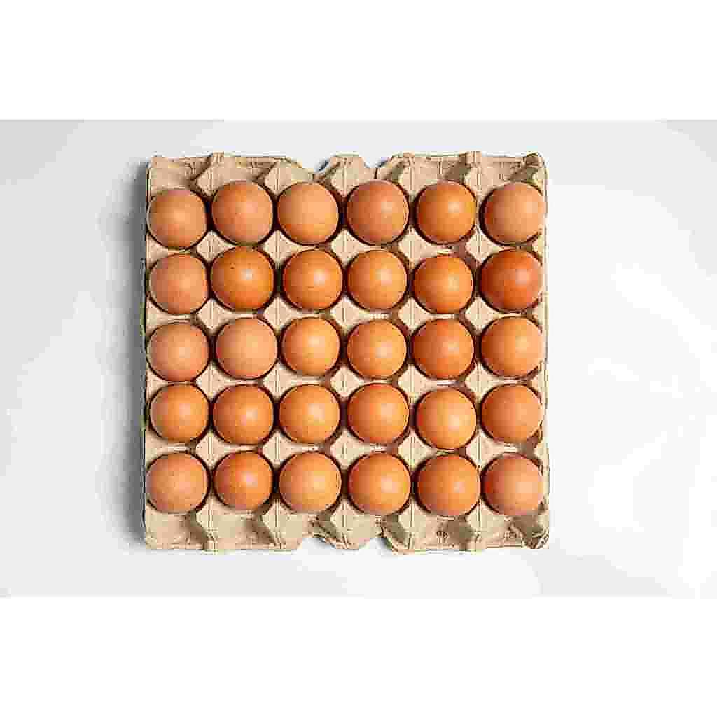 TELOR OMEGA JUMBO isi 1kg /Telur Ayam/Telur Murah/telor omega 3/omega