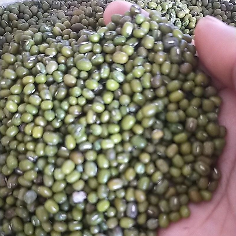 kacang hijau birma 1 kg