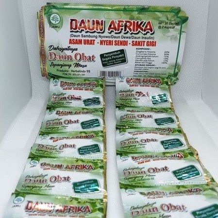 daun afrika DAUN AFRIKA KAPSUL ASAM URAT