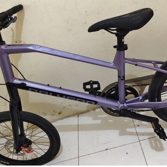 Polygon Minivelo Zeta 2 0km 1x10s Termurah