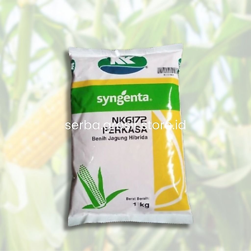 ORIGINAL BENIH JAGUNG NK 6172 PERKASA 1 KG