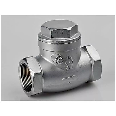 Swing Check Valve 2" Inch Stainless 316 drat