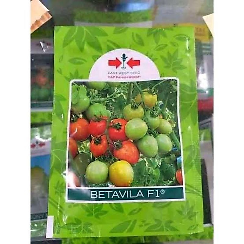 Benih bibit Tomat BETAVILA F1 1750 butir original