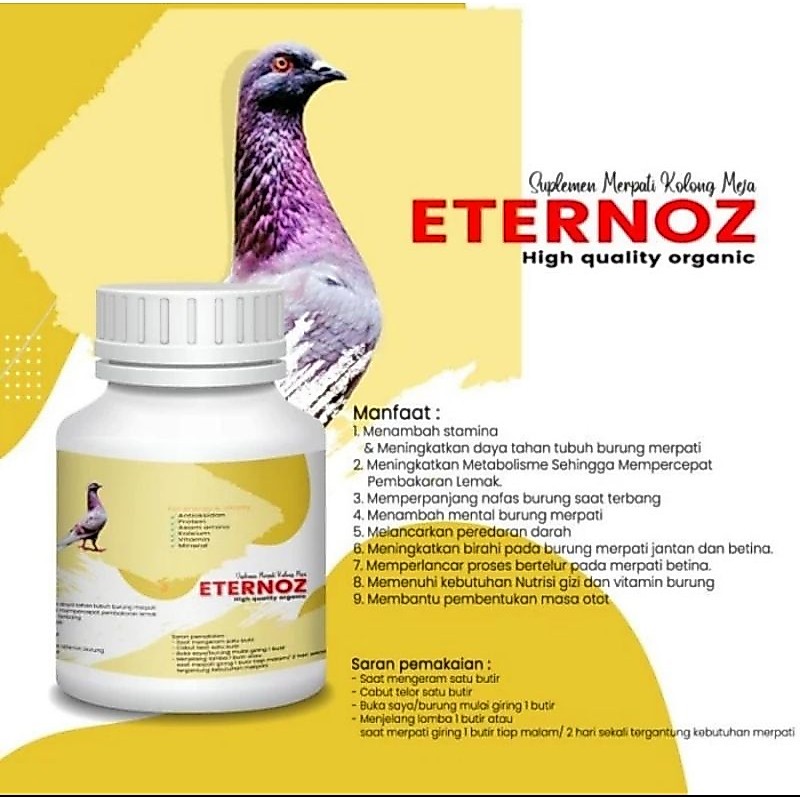 JAMU MERPATI ETERNOZ KUNING PUTIH BURUNG SPRINT MANUVER BURUNG MERPATI