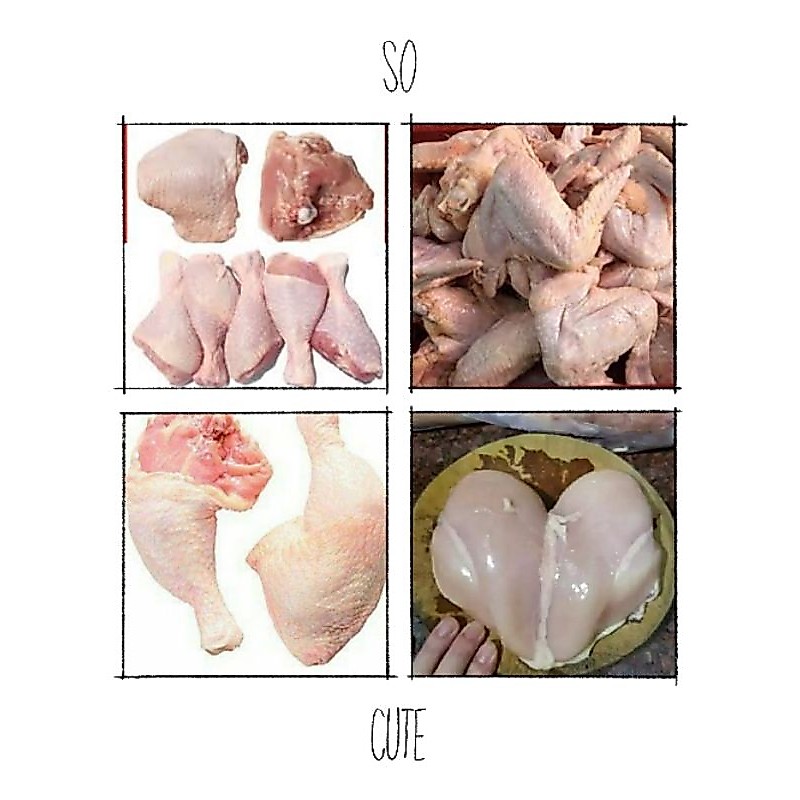 Ayam paha bawah, atas, sayap, dada, fillet, paha utuh, ayam utuh