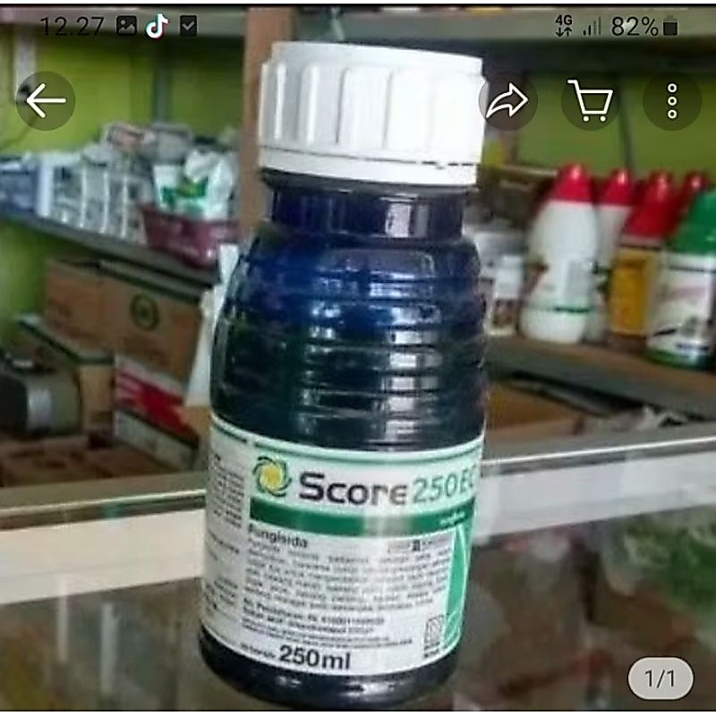 Score 250 ml
