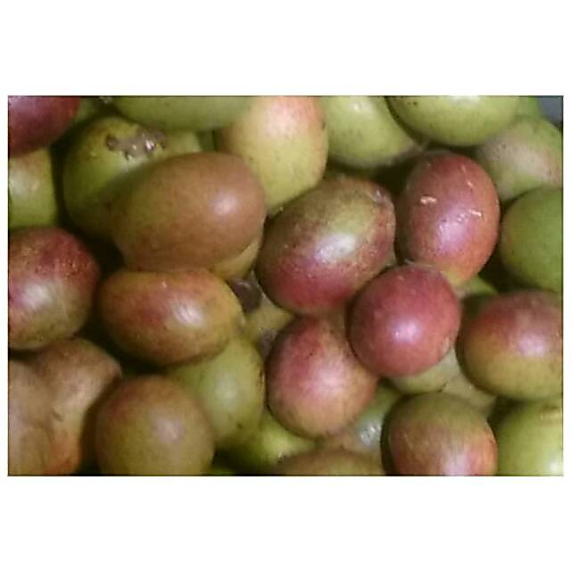 Buah matoa 1 kg