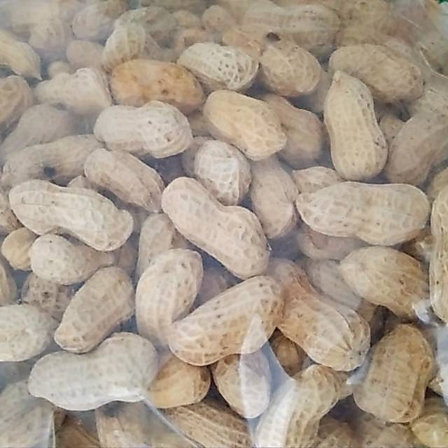 Kacang Kulit Oven Kiloan 500 Gram