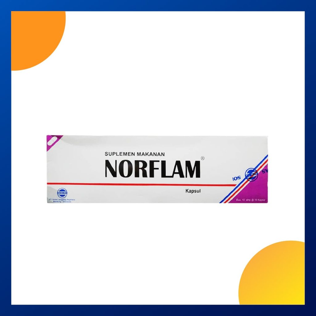 Norflam Box Isi 100 Kapsul