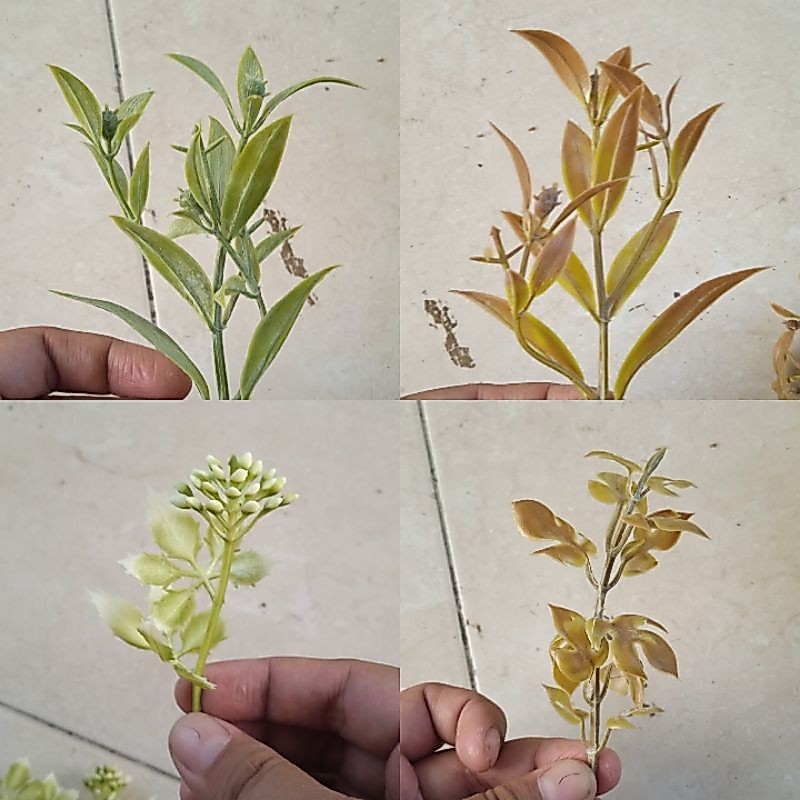 putik bunga artificial, putik bunga palsu, daun putik, putik bunga