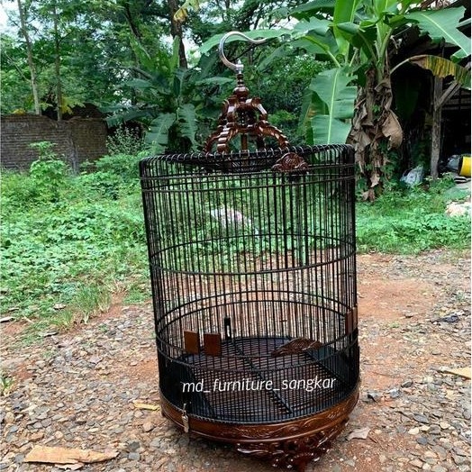 sangkar murai ukir, sangkar murai batu, sangkar burung, kandang murai, sangkar murai jati, sangkar m