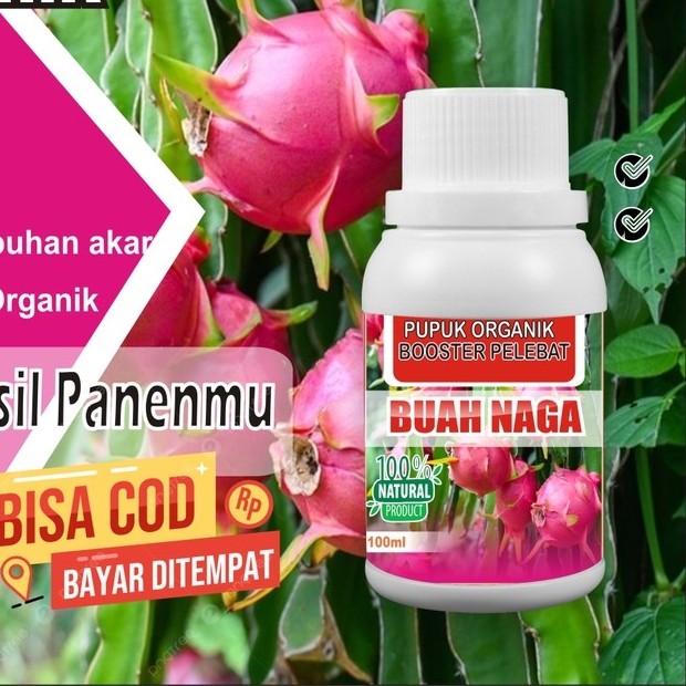 Pupuk Booster Buah Naga Pelebat Organik Cepat Berbuah Lebat 100ml murni fermentasi organik