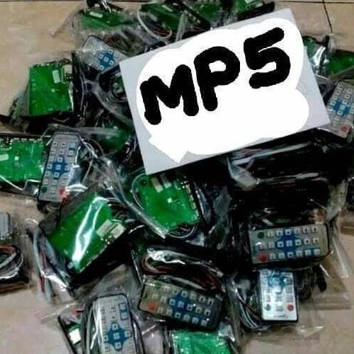 MODUL MP5 VIDEO PLAYER FM RADIO KIT MP5 VIDEO PLAYER FM RADIO RAYDEN