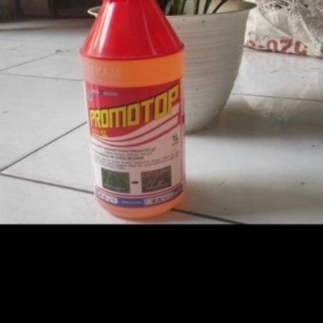 Racun rumput Promotop 531 SL 1 Liter
