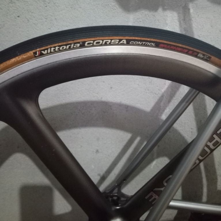 Ban luar vittoria corsa control graphene 2.0