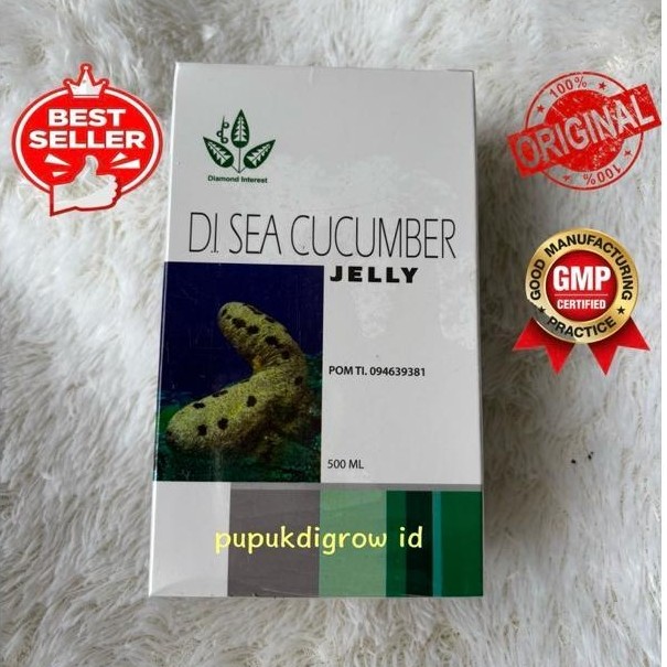 Jelly Gamat Di Sea Cucumber Obat Herbal Alami Teripang Laut 500 Ml Merk Diamond Interest