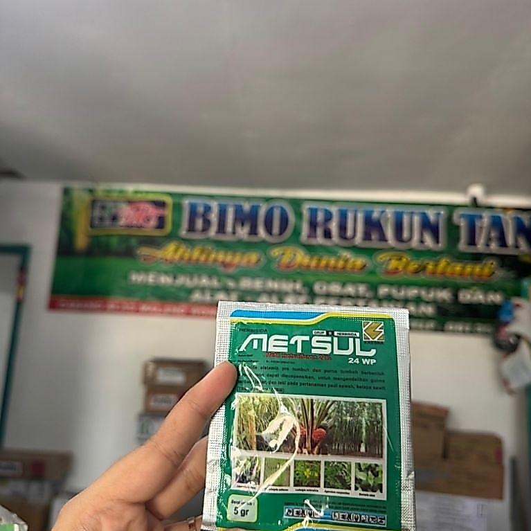 METSUL 24WP 5GR