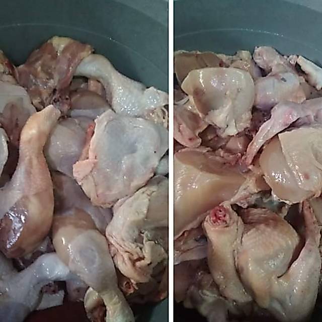 Ayam potong broiler 500 gr