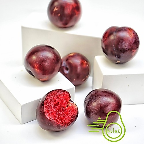Red Plum / Buah Plum Merah